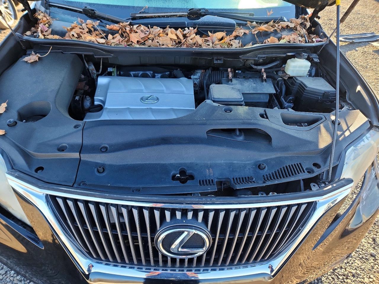 2010 LEXUS RX 350