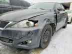 2010 LEXUS IS 250