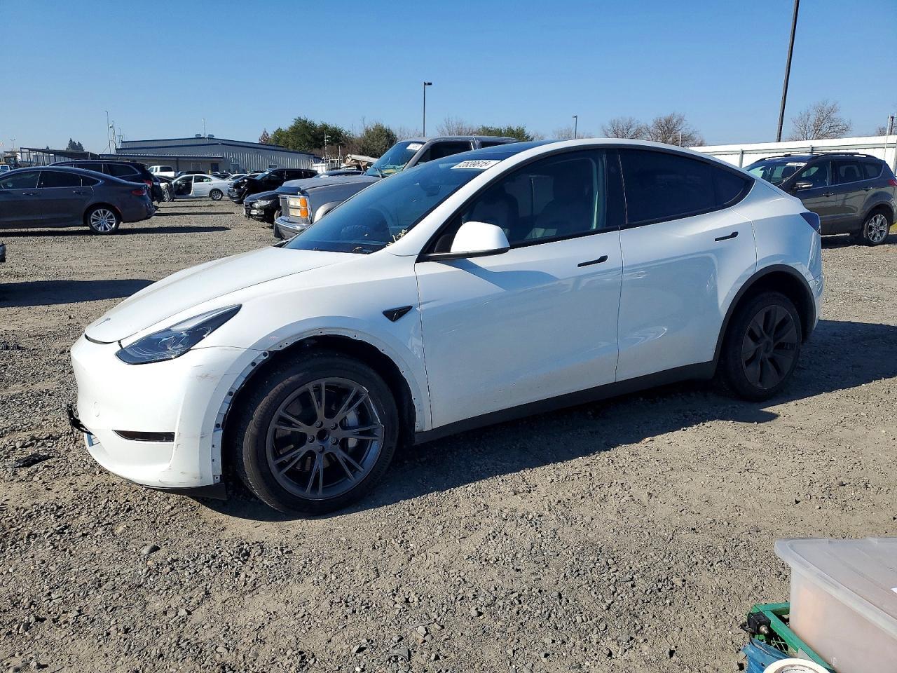 2024 TESLA MODEL Y
