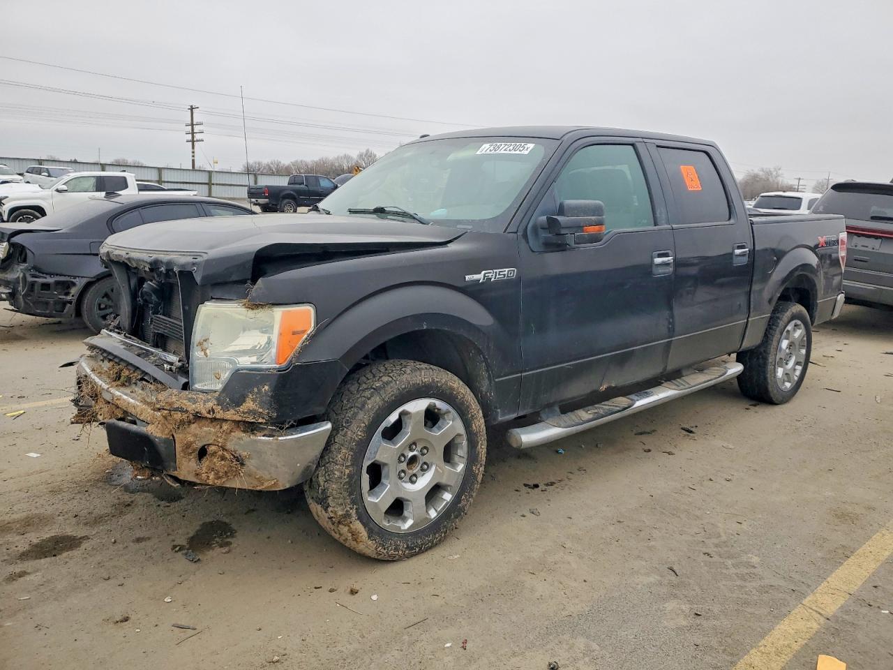 2010 FORD F-150