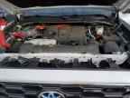2023 TOYOTA Sequoia