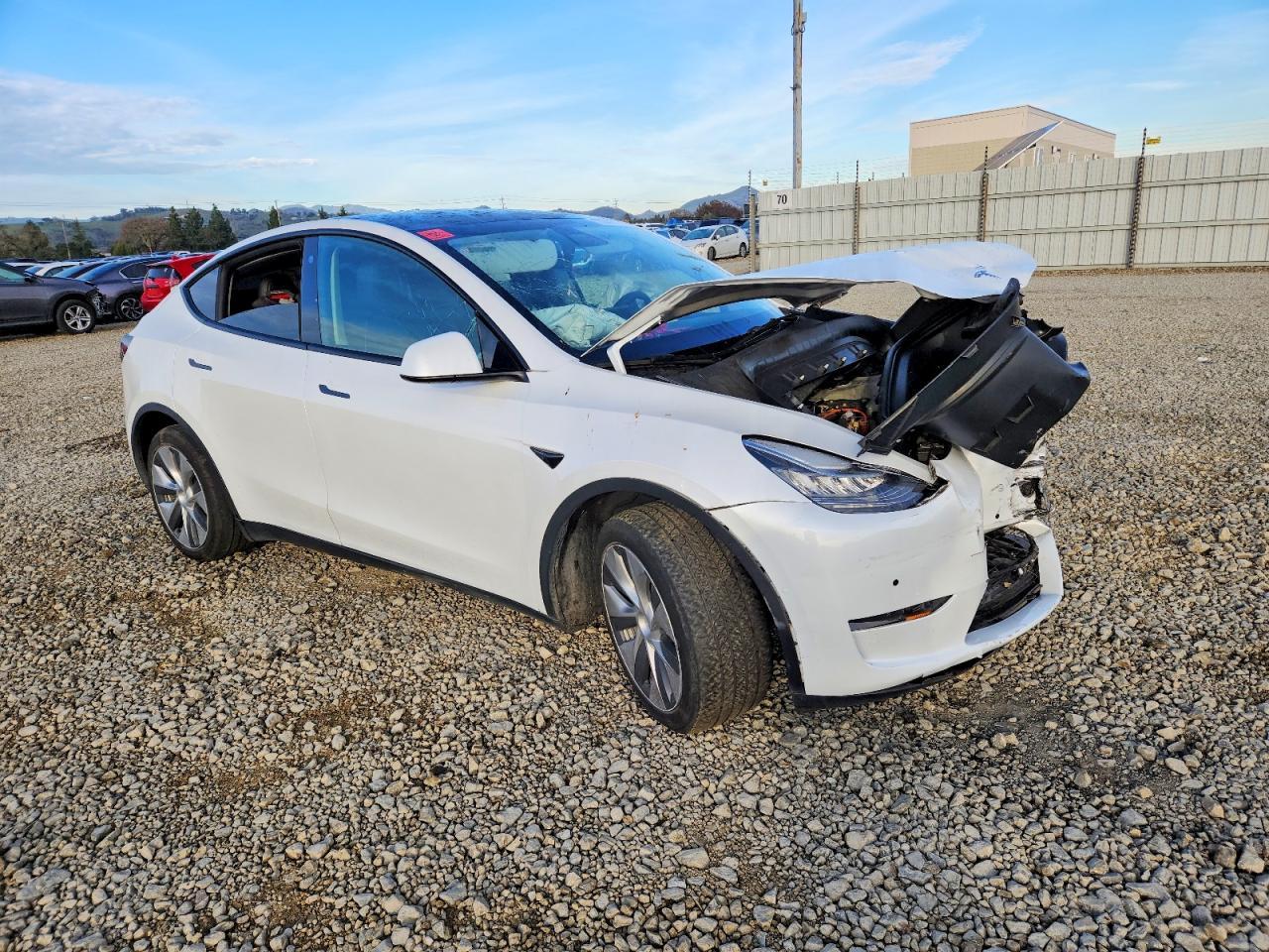 2021 TESLA MODEL Y