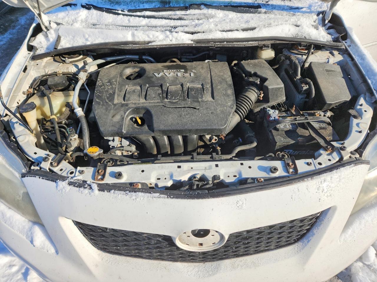 2010 TOYOTA COROLLA