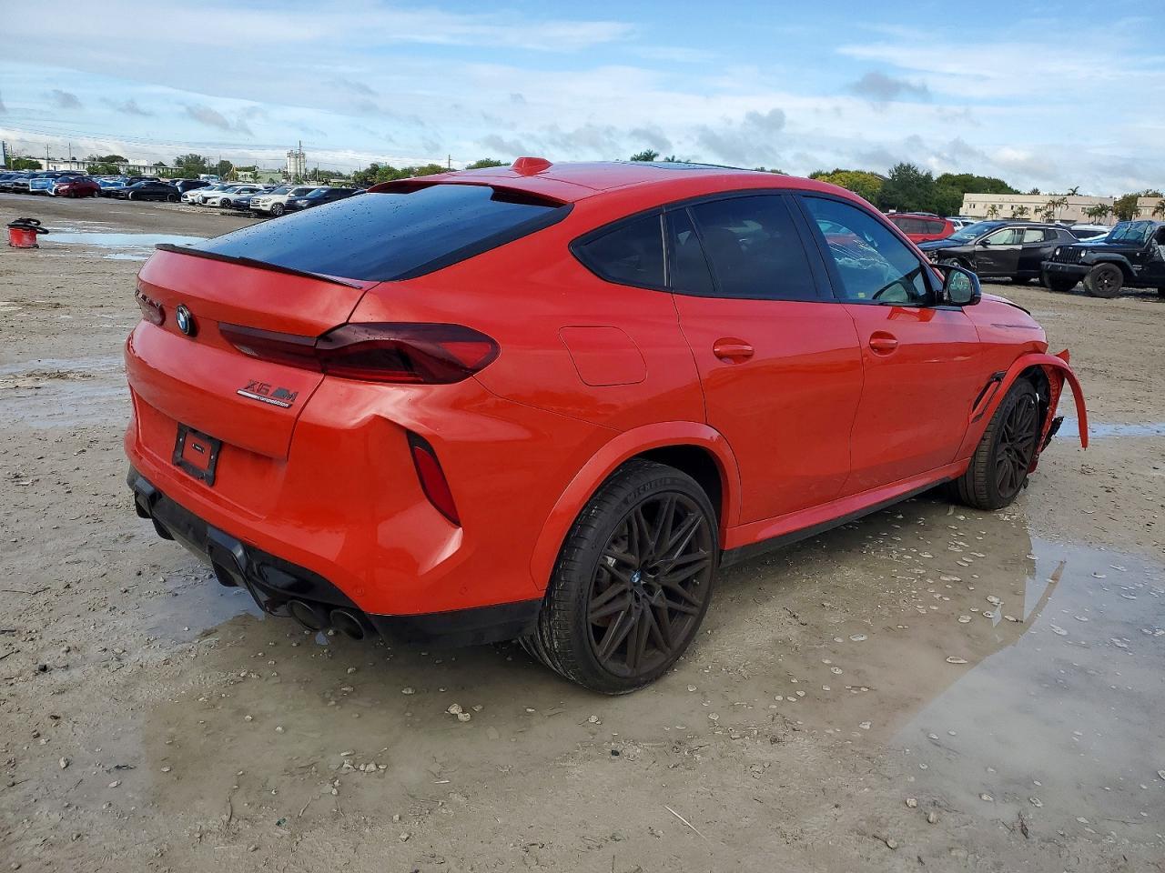 2025 BMW X6