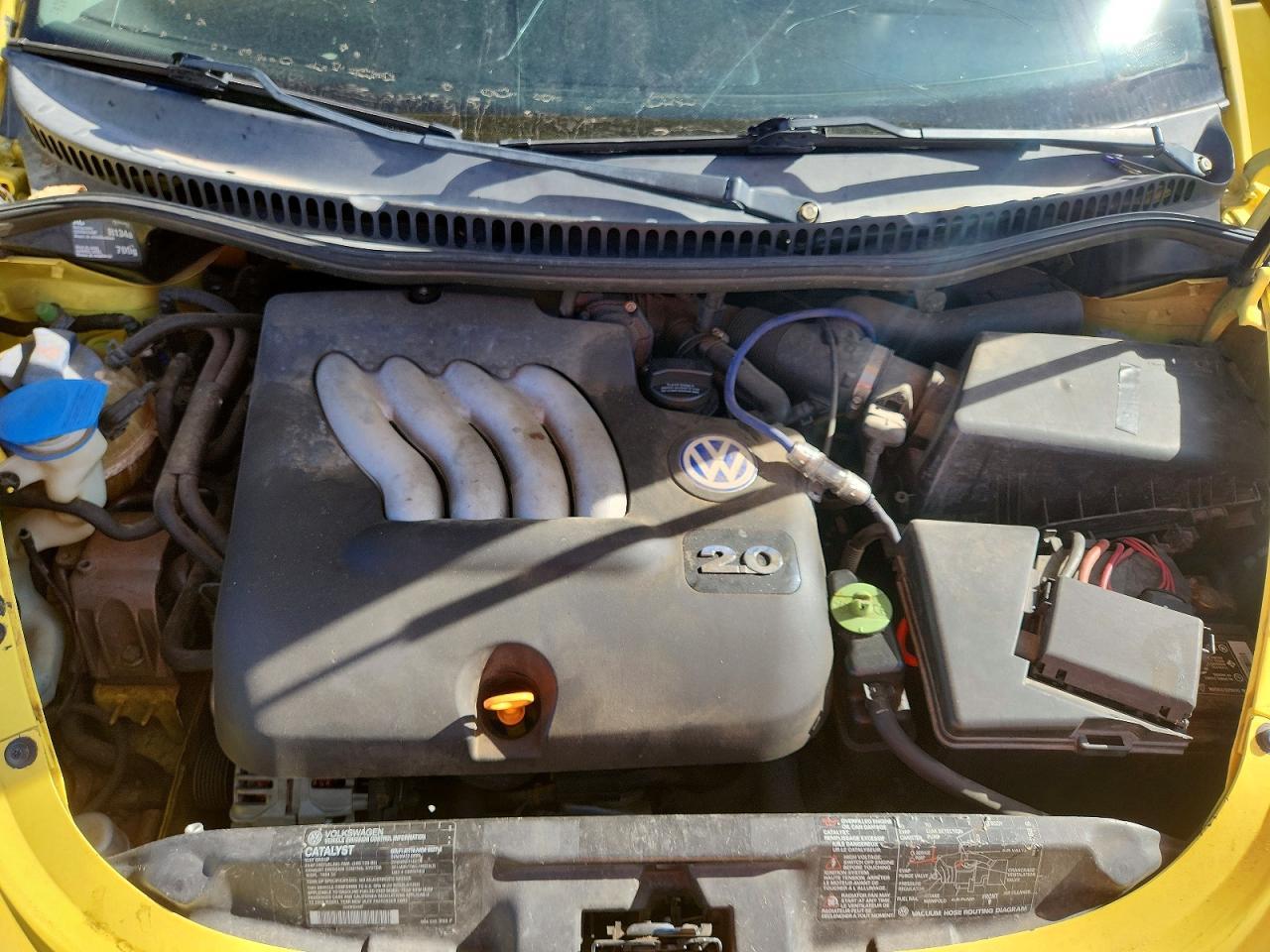 2000 VOLKSWAGEN Beetle