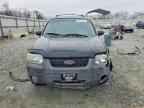 2006 FORD ESCAPE