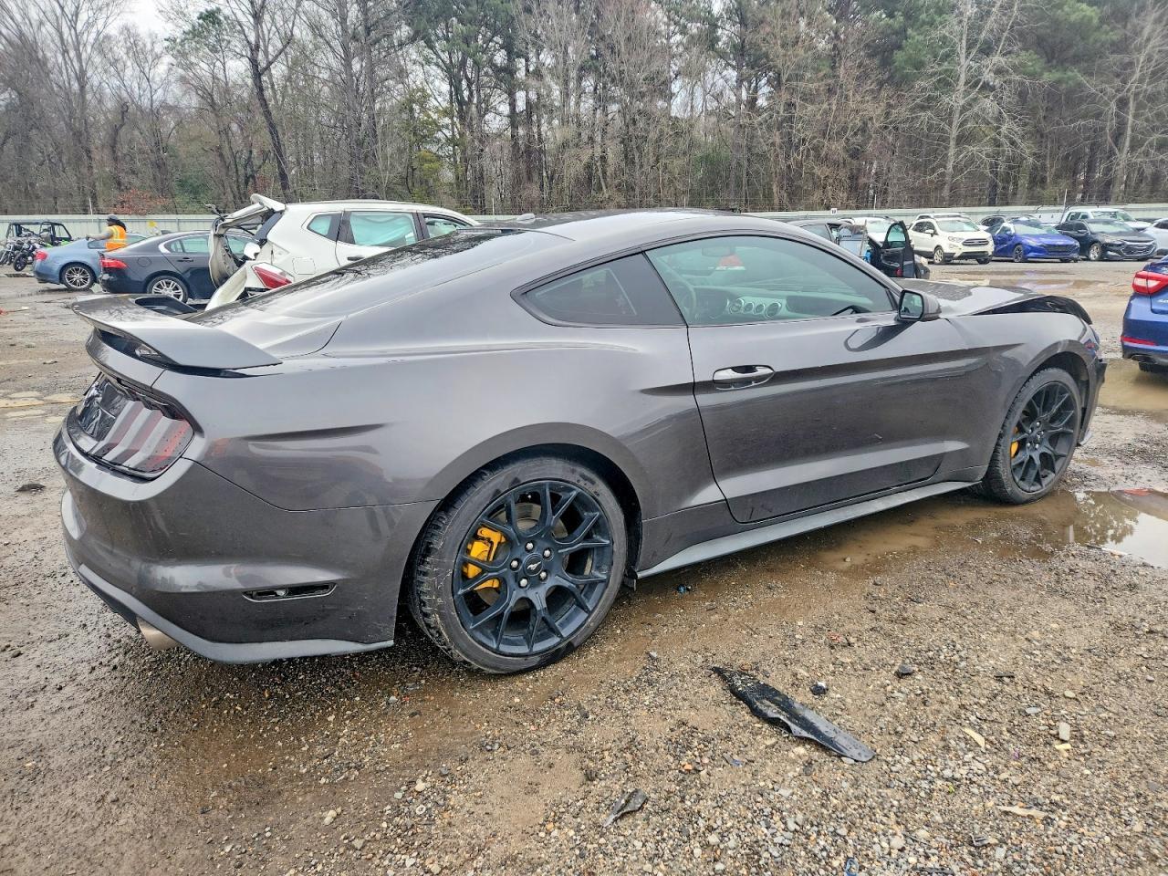 2019 FORD MUSTANG