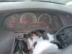 2003 FORD F-150