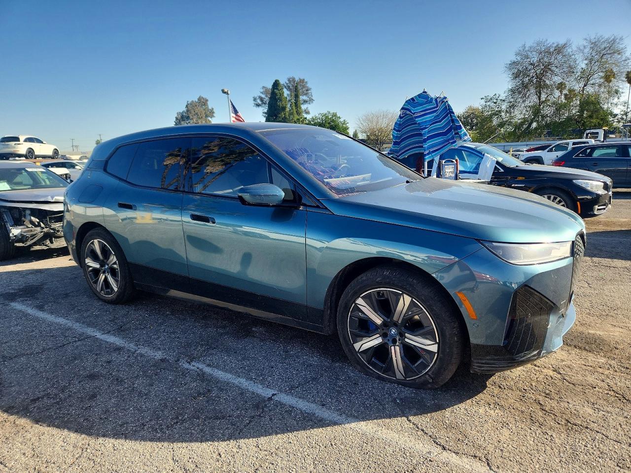 2025 BMW iX