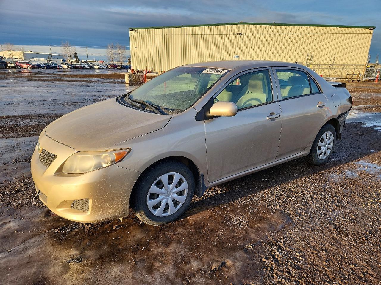 2009 TOYOTA COROLLA