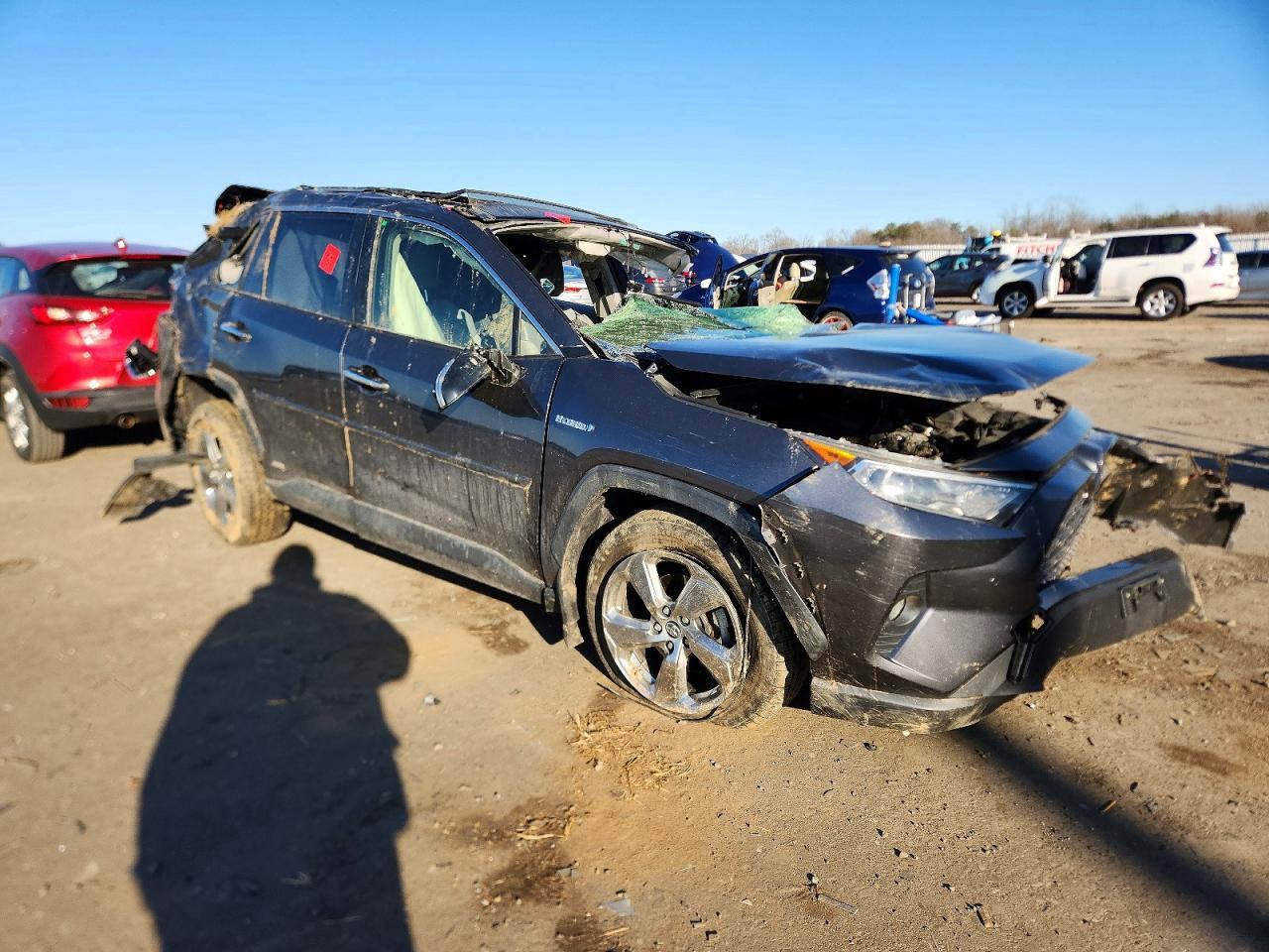 2019 TOYOTA RAV4