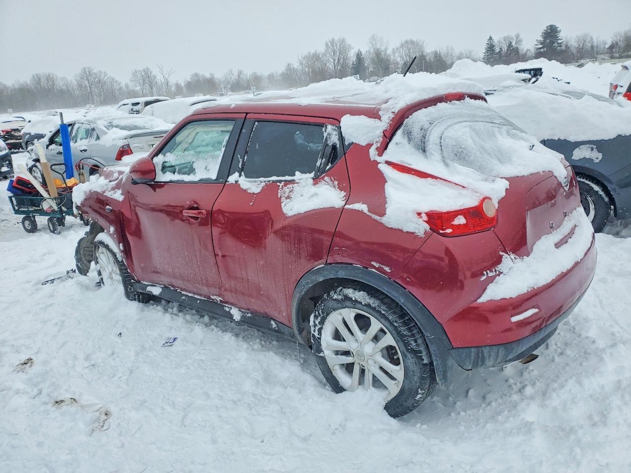 2014 NISSAN Juke