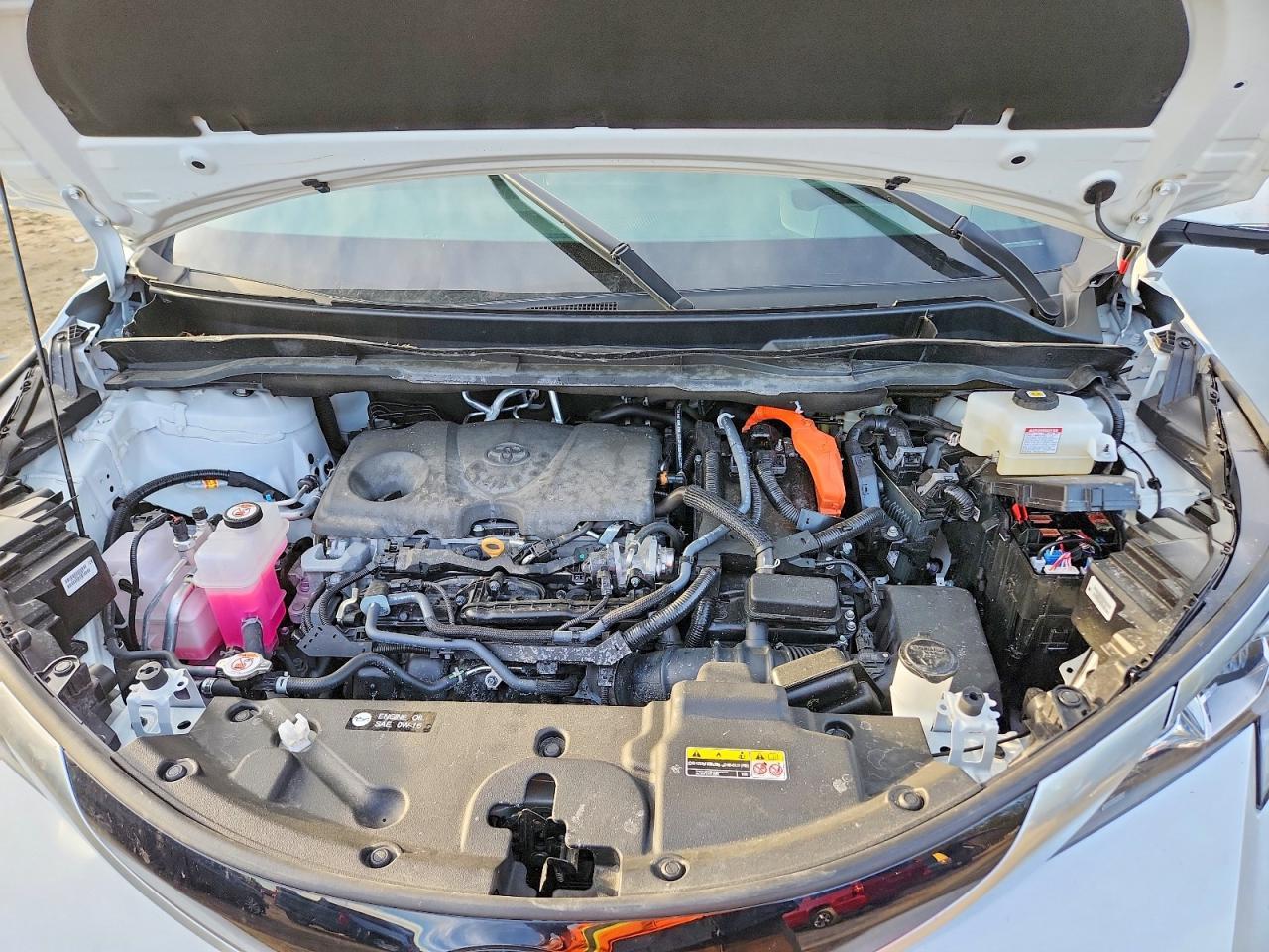 2025 TOYOTA SIENNA
