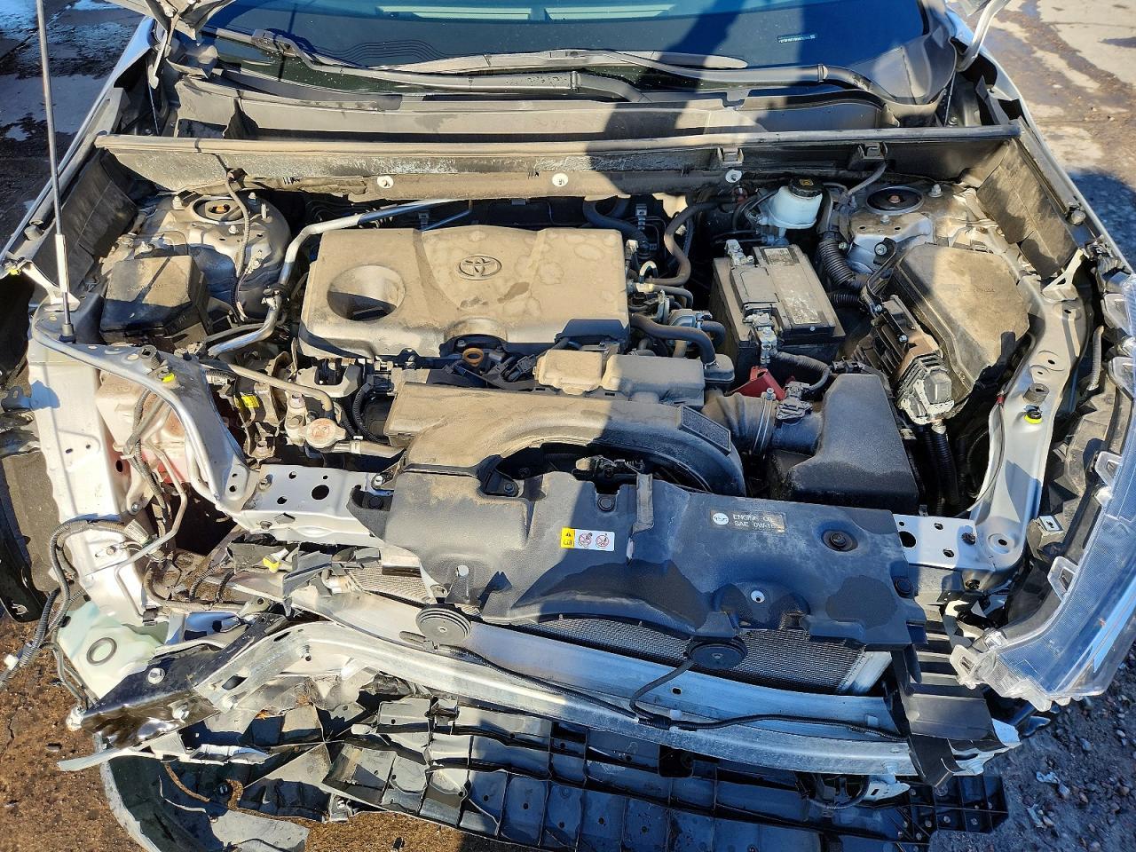 2019 TOYOTA RAV4