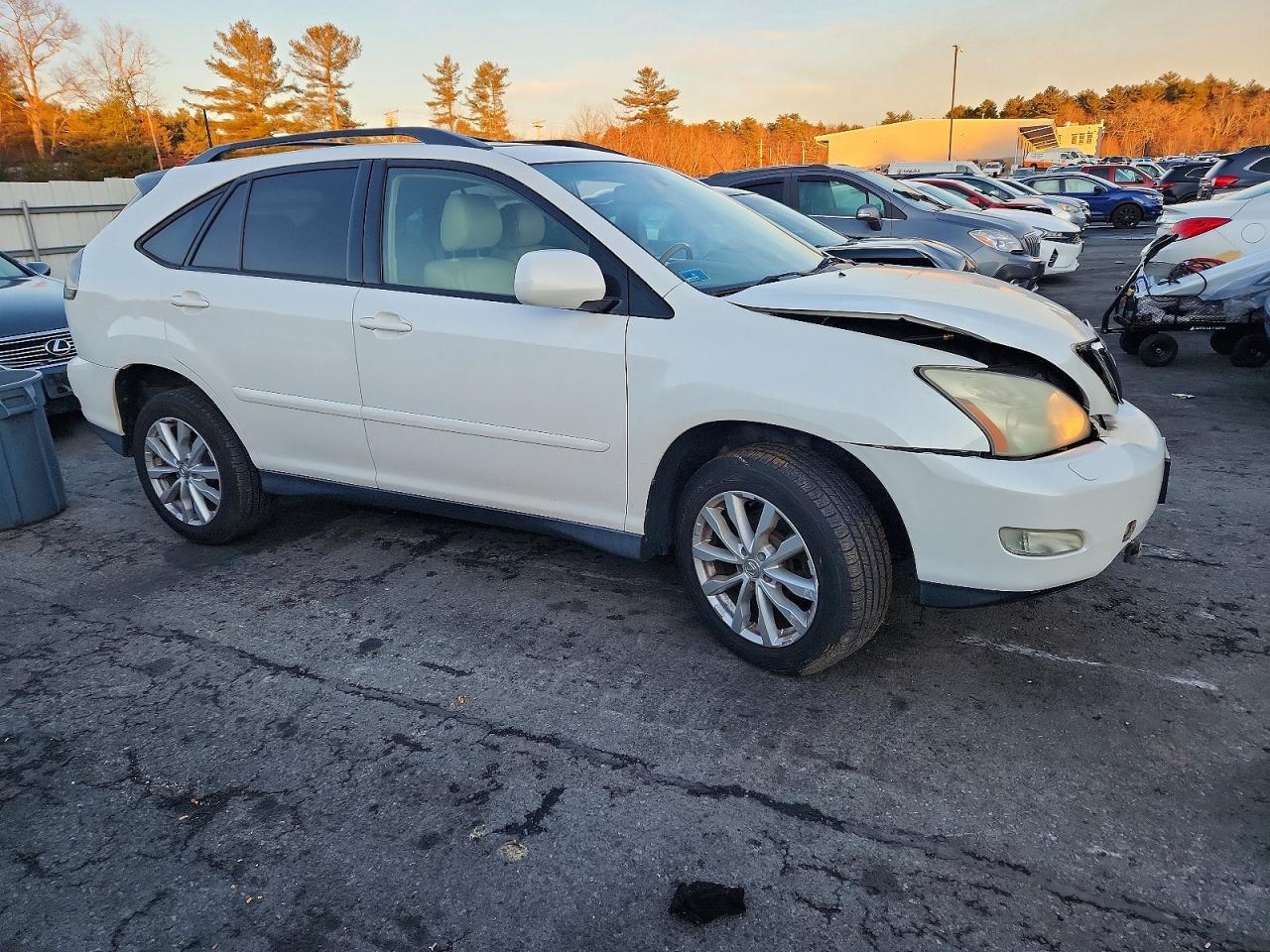 2004 LEXUS Rx 330