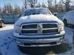 2010 DODGE RAM 1500