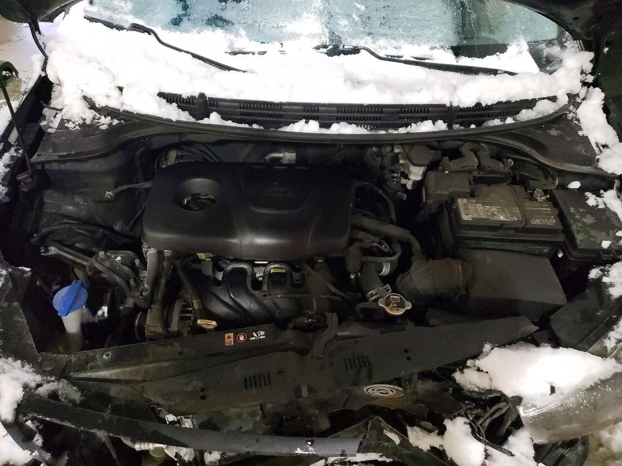 2019 KIA RIO