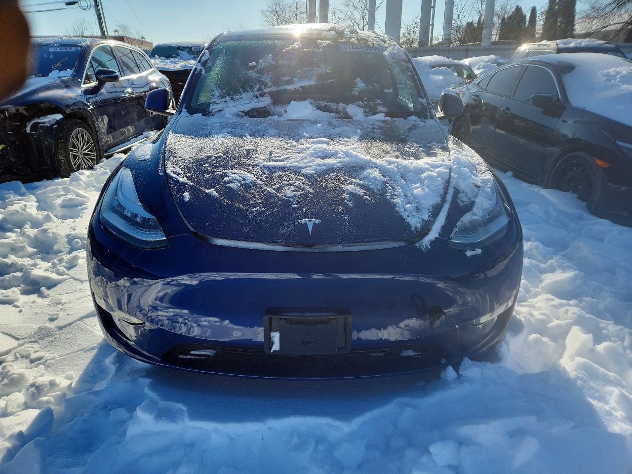 2023 TESLA MODEL Y