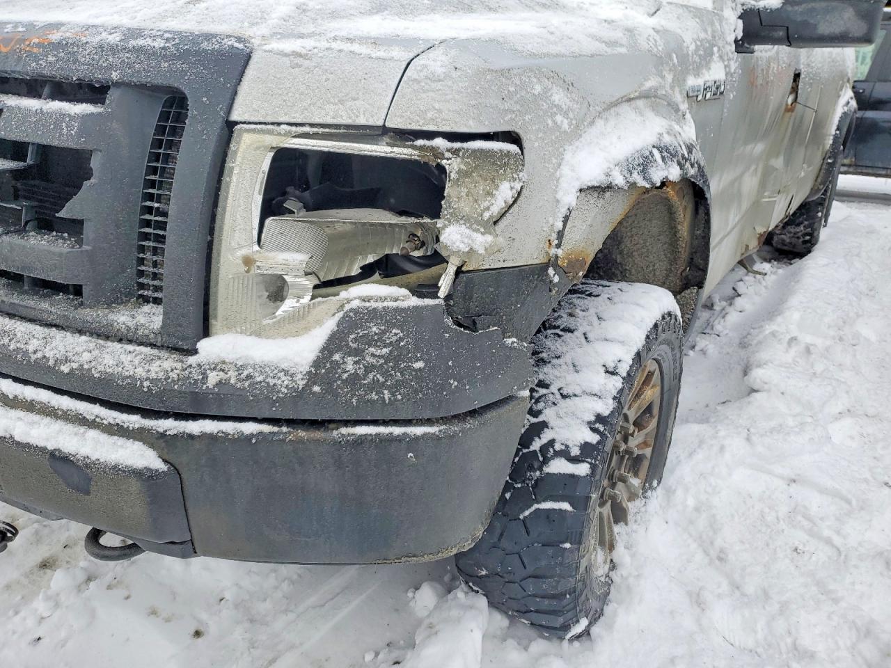 2010 FORD F-150