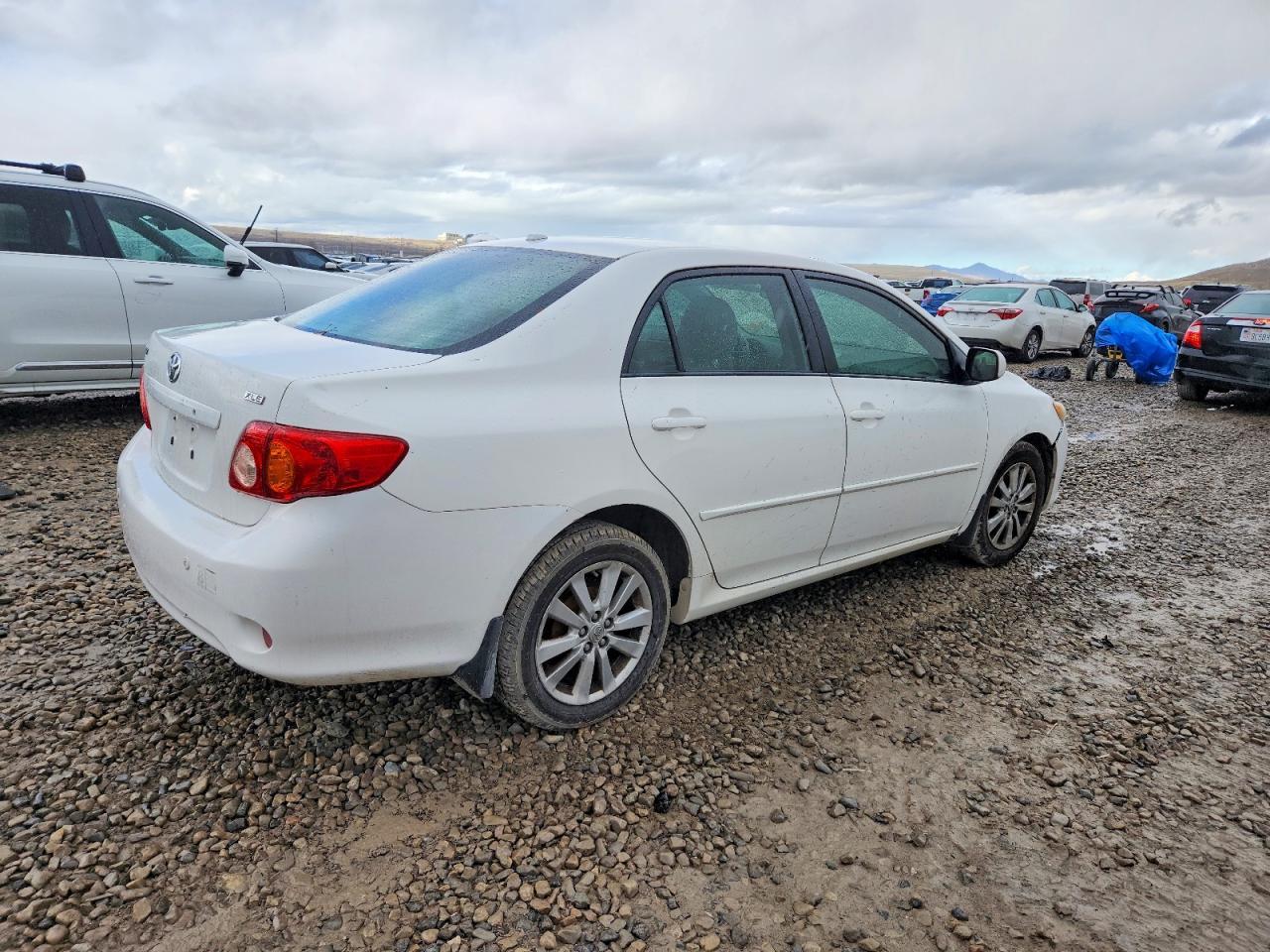 2010 TOYOTA COROLLA