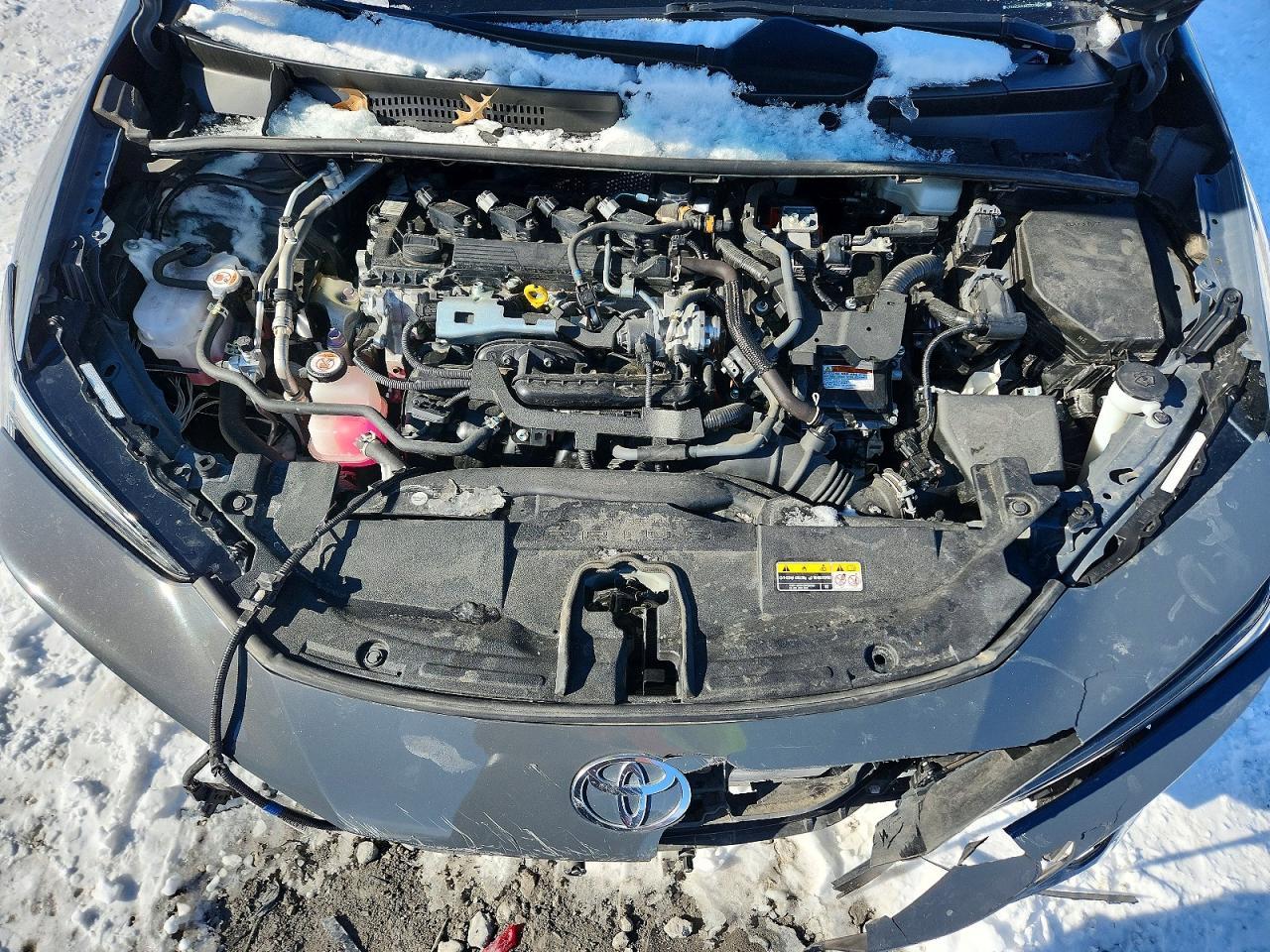2024 TOYOTA PRIUS