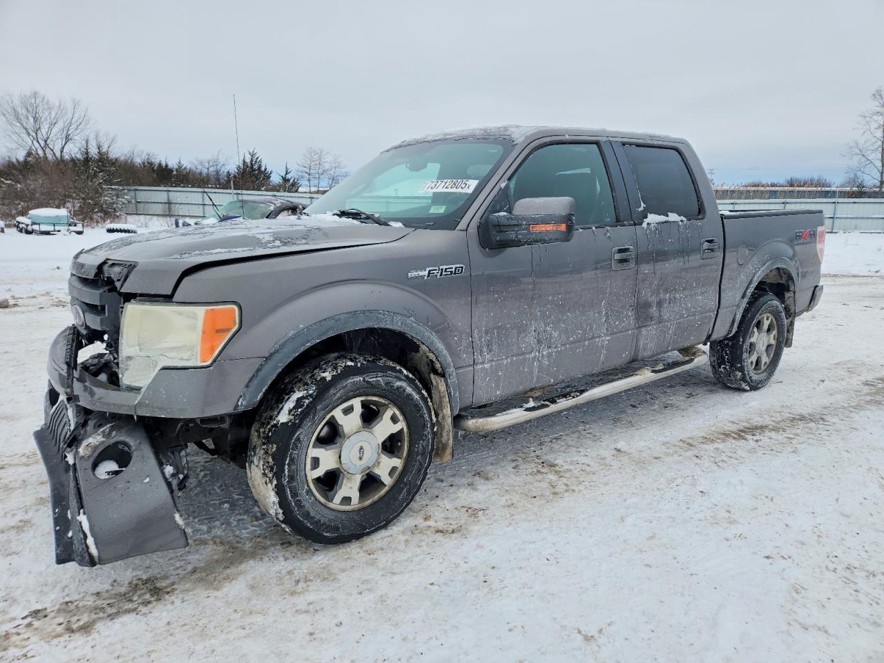 2010 FORD F-150