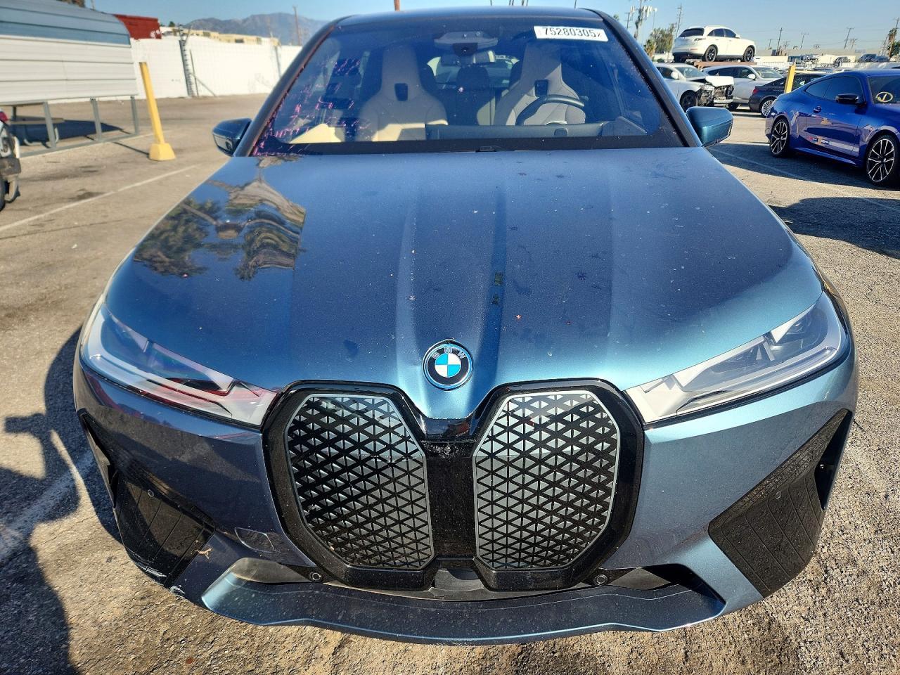 2025 BMW iX