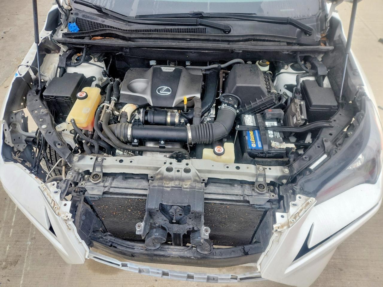 2019 LEXUS NX 300