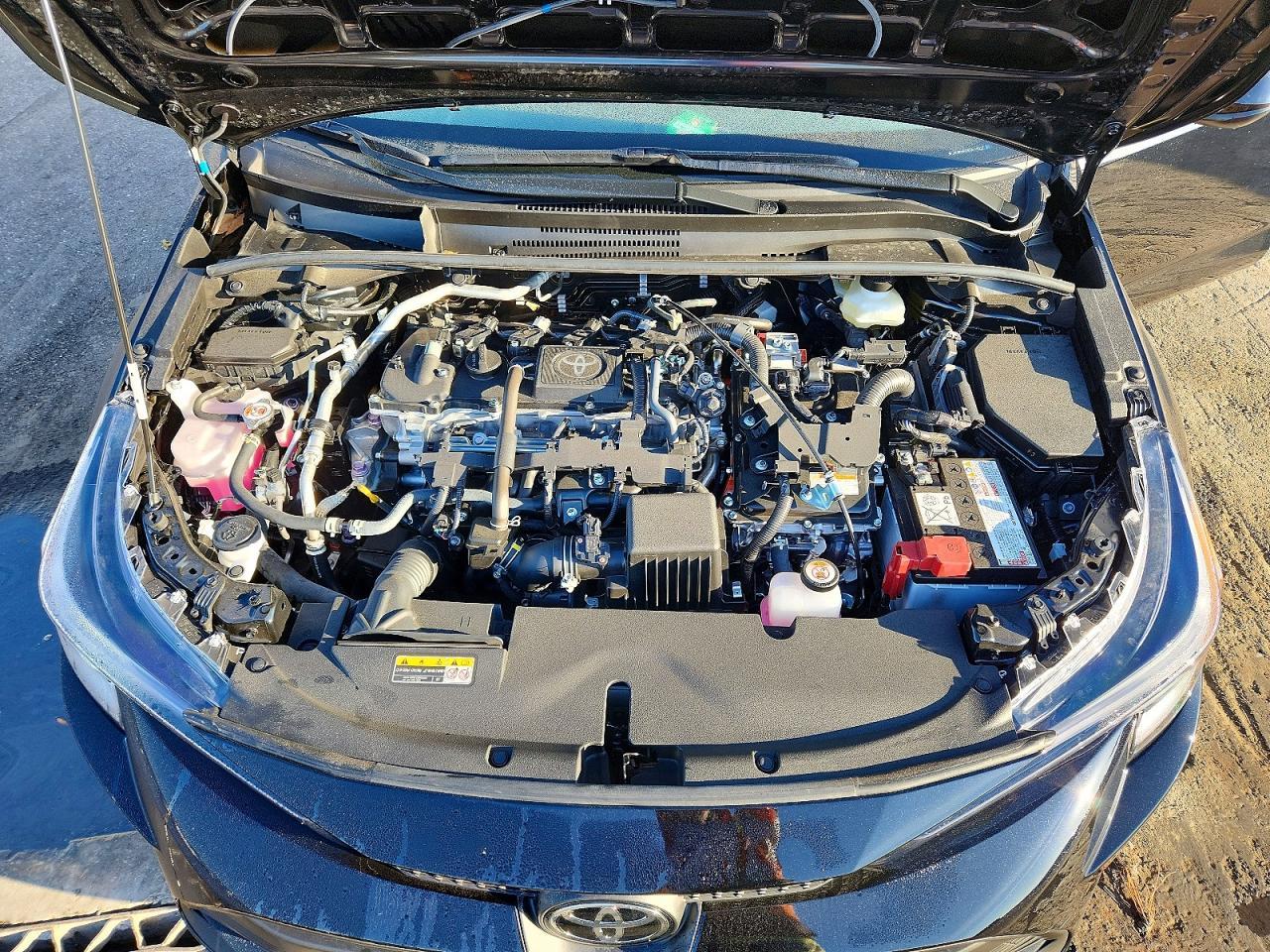 2026 TOYOTA COROLLA