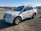 2009 FORD Escape Hybrid
