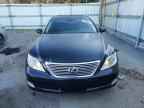 2007 LEXUS LS 460