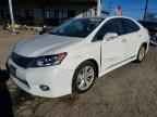 2010 LEXUS HS 250h