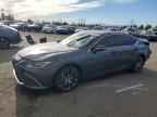 2024 LEXUS ES 300H
