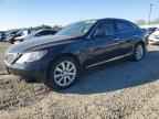 2007 LEXUS LS 460