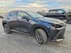 2025 LEXUS NX 250