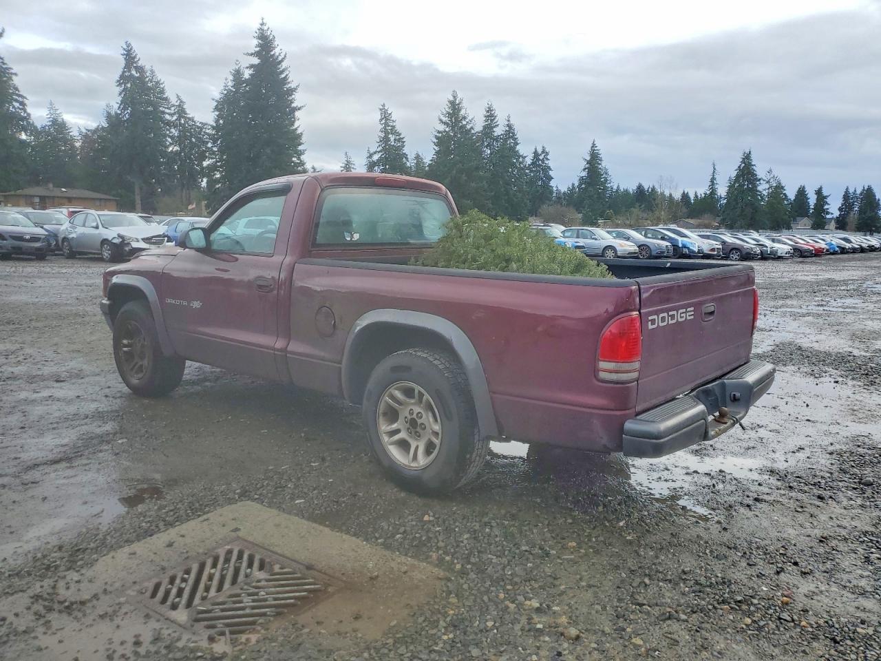 2002 DODGE Dakota