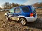 2007 FORD ESCAPE