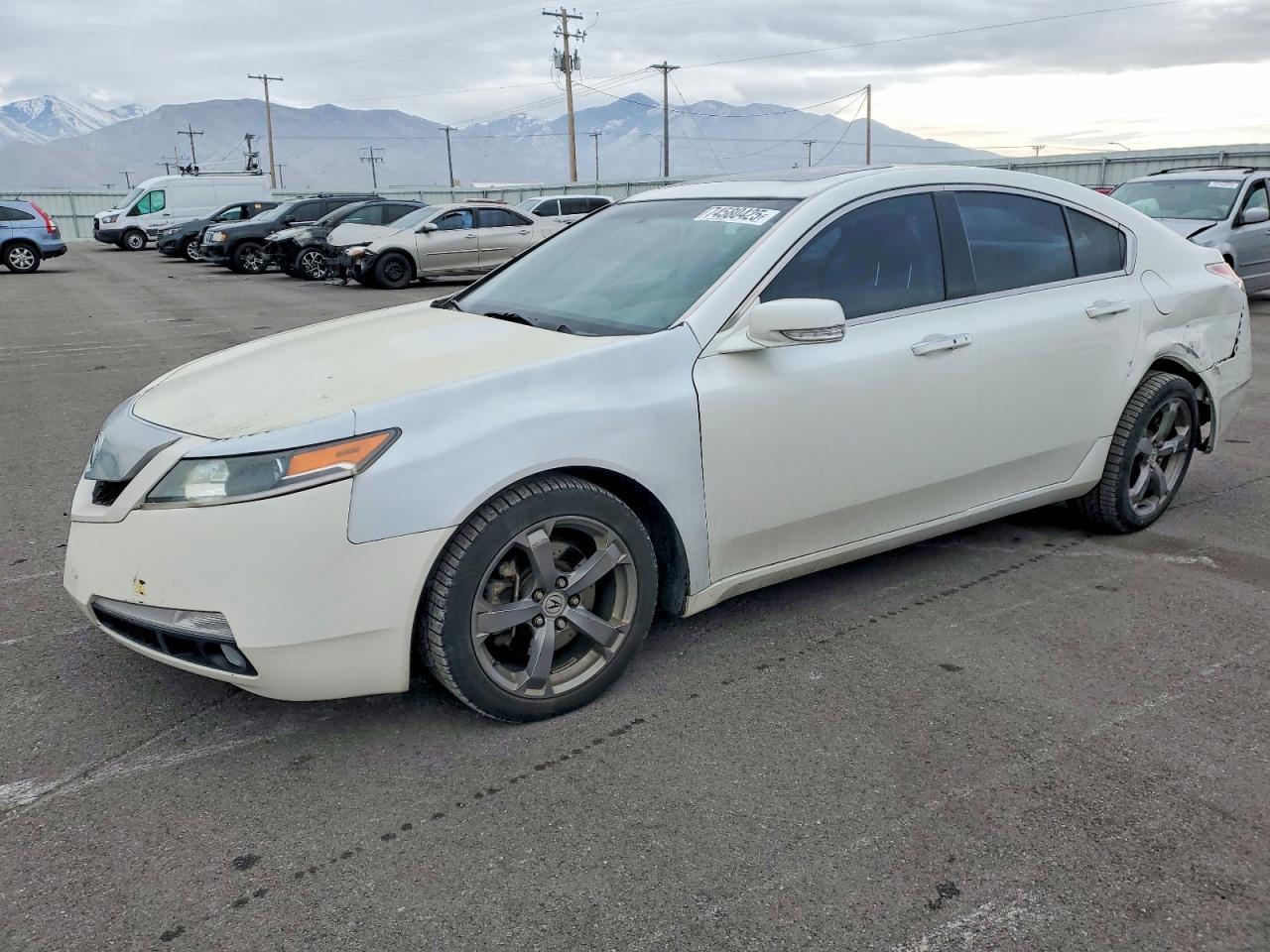 2010 ACURA TL