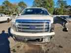 2014 FORD F-150 Lightning