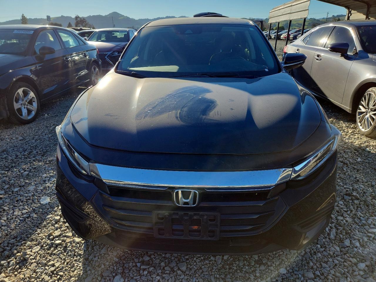 2019 HONDA Insight