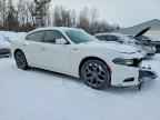 2017 DODGE CHARGER