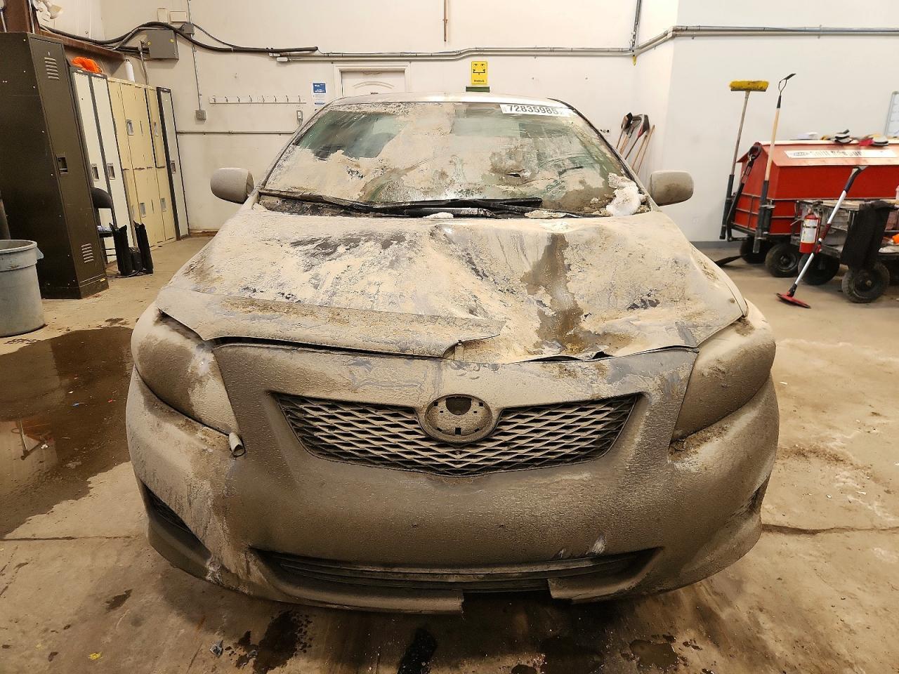 2010 TOYOTA COROLLA