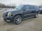 2008 CADILLAC Escalade ESV
