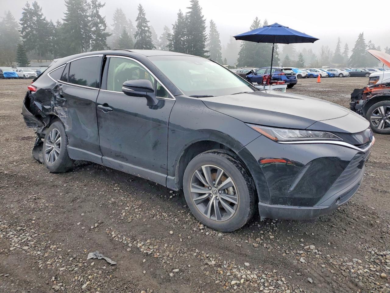 2022 TOYOTA VENZA