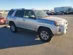 2024 TOYOTA 4Runner