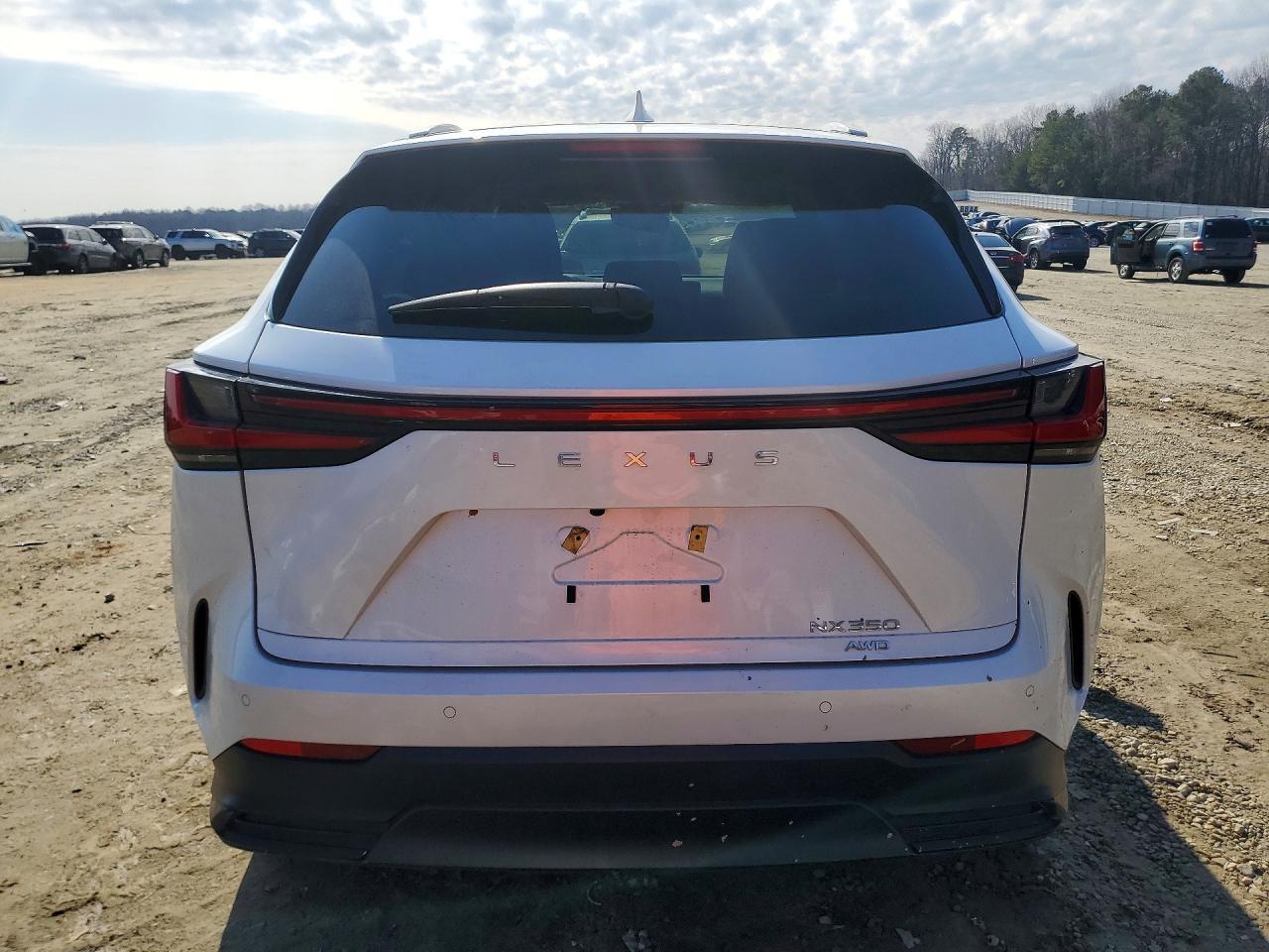 2025 LEXUS NX 350
