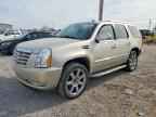 2013 CADILLAC ESCALADE