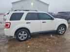 2010 FORD ESCAPE