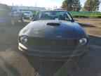 2009 FORD MUSTANG