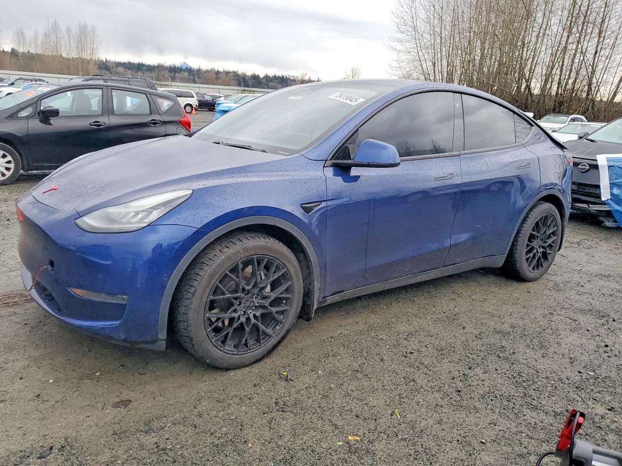 2020 TESLA MODEL Y